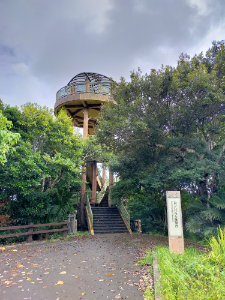 バンナ公園 カンムリワシ展望台